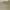 Polo Ralph Lauren Casual Polo shirt Pria gray photo 4