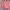 Streetwear Sportswear Short Wanita pink photo 3