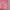 Streetwear Sportswear Short Wanita pink photo 2