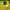 Casual Windbreaker Pria yellow photo 4