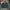 Ellesse Biker Sportswear Windbreaker Pria green red photo 1