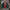 Ellesse Biker Sportswear Windbreaker Pria green red photo 4