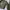 Japanese brand Vintage Streetwear Bomber jacket Pria green photo 4