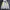 Vintage Sportswear Windbreaker Pria white green photo 2