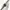 Calvin Klein Vintage Minimalist Wanita silver photo 1