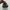 Arc'teryx Casual Sneakers Pria gray cream photo 4