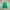 Polo Ralph Lauren Casual T-shirt Pria green photo 2