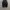 Uniqlo Vintage Y2K Jeans Pria black photo 1
