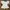 Brandy Melville Cottagecore Coquette Blouse Wanita White