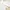 Champion Vintage Streetwear Boxer Pria white photo 3