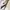 Champion Vintage Streetwear Boxer Pria white photo 4