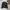 Vintage Windbreaker Pria black photo 1