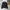 Vintage Windbreaker Pria Black