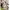 Y2K Casual Midi dress Wanita pink photo 3