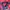 Mizuno Casual Windbreaker Pria red blue photo 5