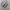 Adidas Streetwear Casual Sneakers Pria navy gray photo 1