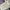Ben Davis Streetwear Luxury Fleece Pria white photo 6