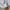 Casual Formal shirt Pria white photo 6