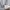 Casual Formal shirt Pria white photo 5