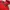NEPA Gorpcore Sportswear Parka Pria red black photo 2