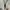Carhartt Streetwear Short Pria white photo 3