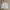 Carhartt Streetwear Short Pria white photo 1