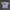 Streetwear T-shirt Pria Multicolor