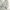 Beverly Hills Polo Club Vintage Casual Harrington jacket Pria tan photo 4