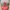 MLB Vintage Hat Wanita pink photo 1