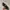 Adidas Casual Sneakers Pria black photo 1