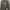 Casual Denim jacket Pria gray photo 1