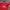 Adidas Streetwear Sportswear Jersey Pria red photo 2