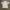 Puma Vintage Sportswear Jersey Pria white photo 5