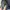 ZARA Streetwear Casual Jeans Pria navy photo 7
