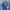 Guess Streetwear Jeans Pria blue photo 5