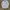 Polo Ralph Lauren Streetwear Luxury Formal shirt Pria multicolor photo 2