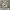 Casual Baju bayi Kids white photo 1