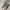 Adidas Streetwear Casual Boots Pria white black photo 1