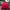 Biker Bomber jacket Pria red photo 2