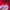 Biker Bomber jacket Pria red photo 6