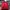 Biker Bomber jacket Pria red photo 3