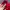 Biker Bomber jacket Pria red photo 5