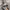 Vintage Jeans Pria gray photo 8