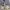 Vintage Jeans Pria gray photo 7
