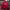 Marlboro Casual Bomber jacket Pria red photo 2