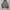 Nike Streetwear Hoody Pria gray photo 1