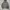 Nike Streetwear Hoody Pria Gray