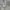 Nike Streetwear Hoody Pria gray photo 2