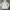 Streetwear Y2K Track jacket Pria white red photo 3