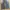 Vintage Jeans Pria blue photo 5